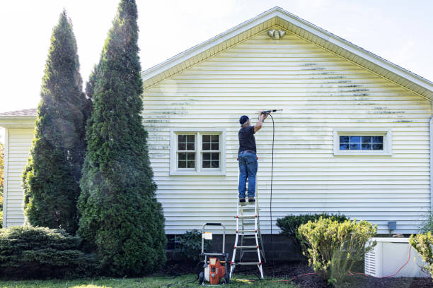 Best Roof Washing  in Roaring Spring, PA